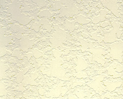 Specialty Paint: Stucco